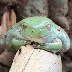 where the time has gone