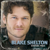 Country Strong Mp3