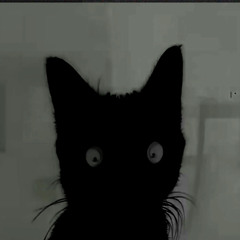 9lives alternative
