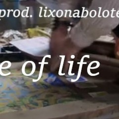 game of life [p. lixonabolote]