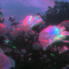 Shine