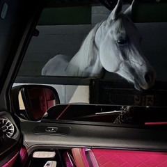 مـحدن يـساويـك 💌