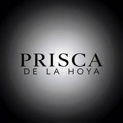 STAINLESS STEEL | SWISS KNIFE | PRISCA DE LA HOYA
