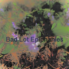Bad lot epiphanies