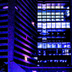Paradigm Sequence (L.D.T.R.)