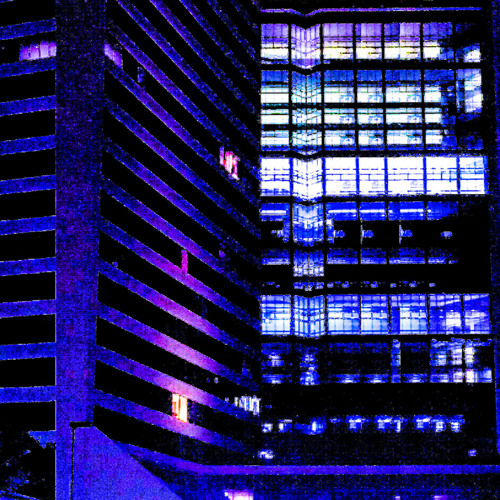 Paradigm Sequence (L.D.T.R.)