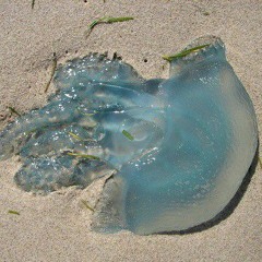 abe m - oh, what a day