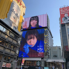 青春と青春と青春