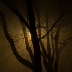Moonlight Howl