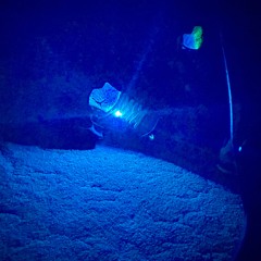 Im Finna Go (11/21/24)