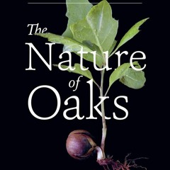 DOWNLOAD❤️eBook⚡️ The Nature of Oaks The Rich Ecology of Our Most Essential Native Trees