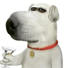 AUTHOR OF YOUR NIGHTMARES COVER