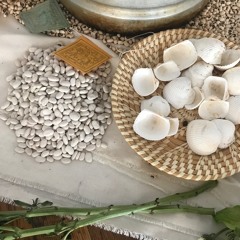 Birth In The Mourning(2020)