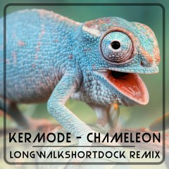 Chameleon - Kermode - Longwalkshortdock Remix