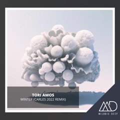 FREE DOWNLOAD: Tori Amos - Winter (Carles 2022 Remix)