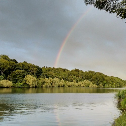 Recon and Demand - Like A Rainbow (Original Mix )