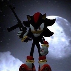 "𝙃𝙤𝙬 𝙥𝙖𝙩𝙝𝙚𝙩𝙞𝙘." - a Shadow the Hedgehog playlist