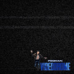 P0gman - Videodrome