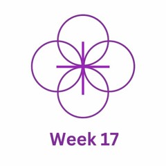 Week 17