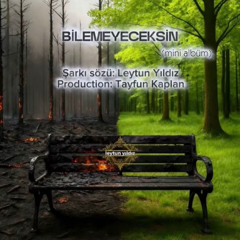 Leytun Yildiz - Bilmeyeceksin (Türk Pop Version)