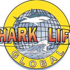 Magick DECOY - Ft. Mizzle X RichieP