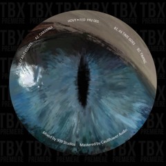 Premiere:  Hovy - Take It As It Comes [Privat]