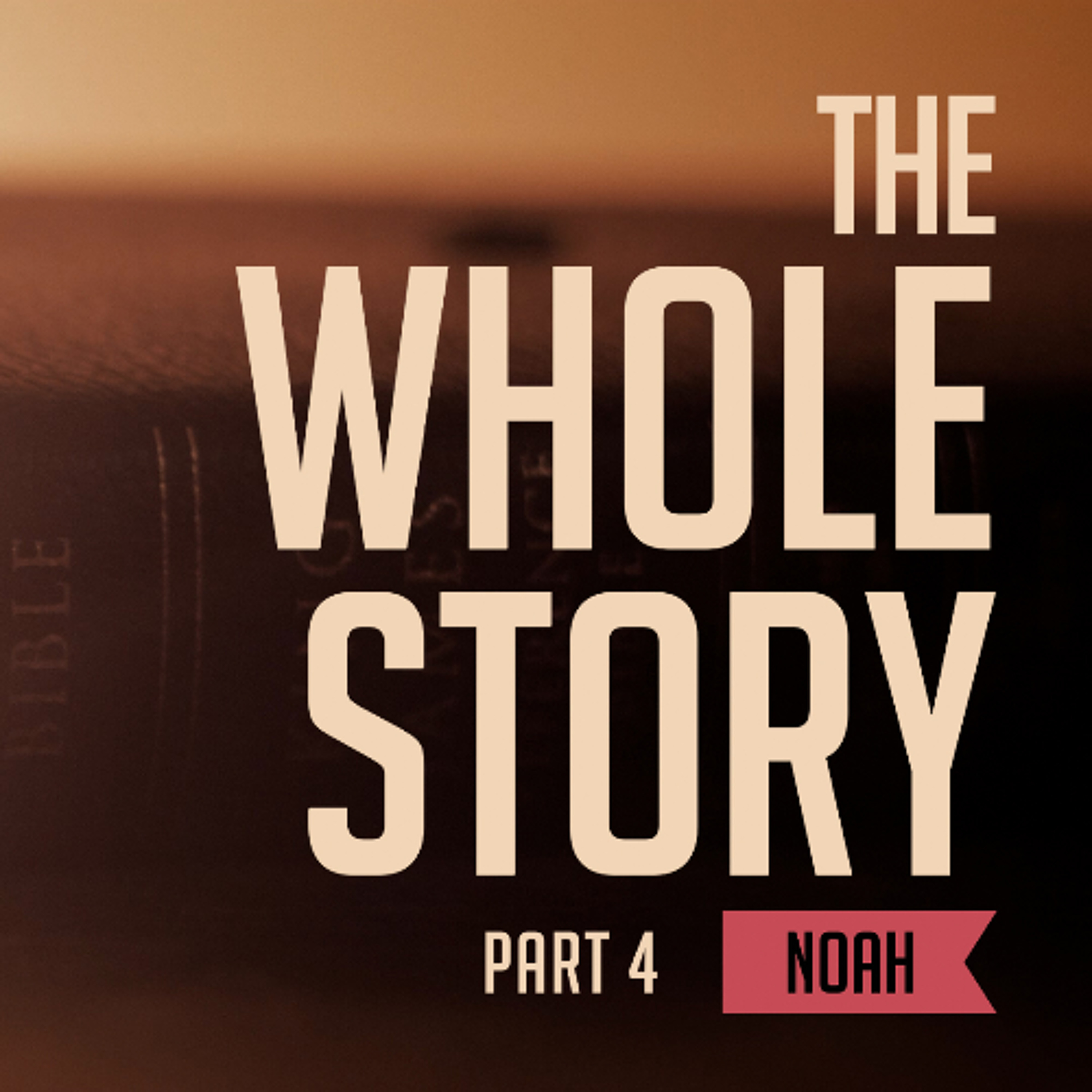Noah episode artwork