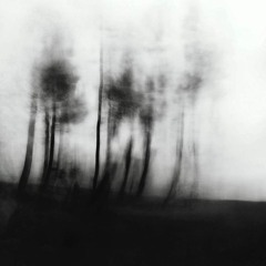 neverending self-deprecation