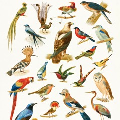 물영아리오름