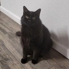 Salem