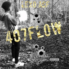 407FLOW
