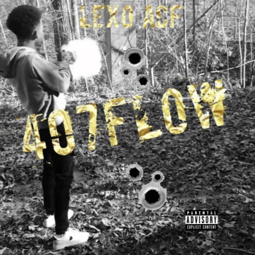 407FLOW