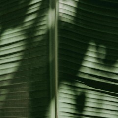 Friday Deluxe by Andy Martin