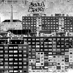 FaRoS - Is there a future? (instruMeNTaL)