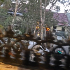 afternoon at the watkin terrace