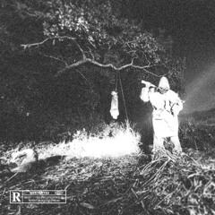 Maha Vailo Freestyle