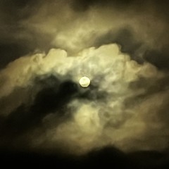 🔥 🦑playlist V1🐉🐙