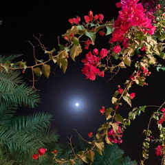 ضحكتك بترد روحي