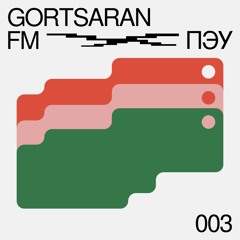 Gortsaran 003 @ ПЭУ