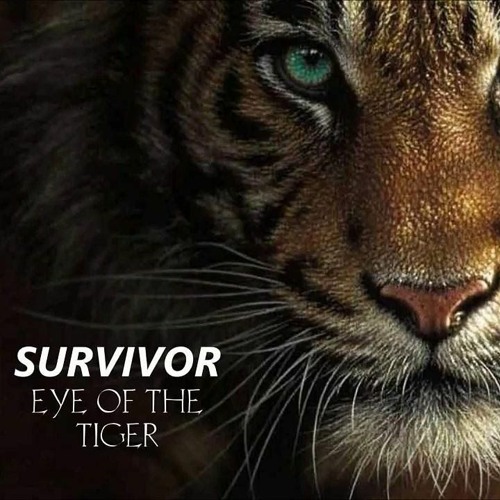Survivor - Eye Of The Tiger - Stefan Lobuczek