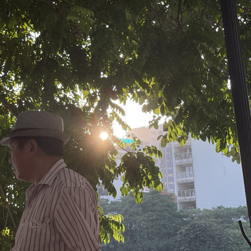 thư của gió của kiên