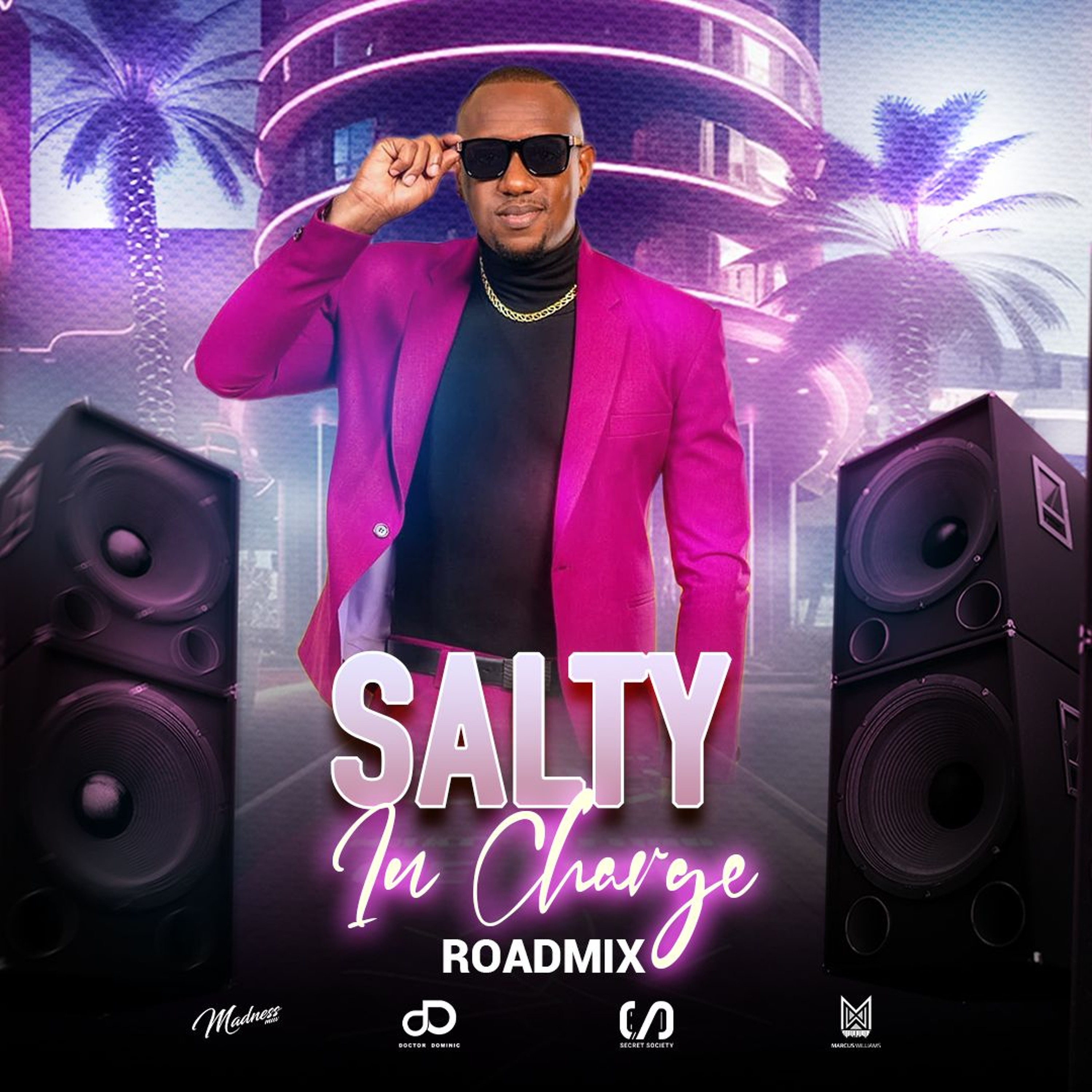 Salty - In Charge - D'Guitarmn Riddim (Secret Society Roadmix)