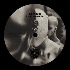 PREMIERE: Madu - Pulse In The Dark [MELATUNE004]