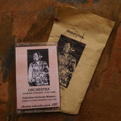 Wasson Orchestra - Torpedobears 1