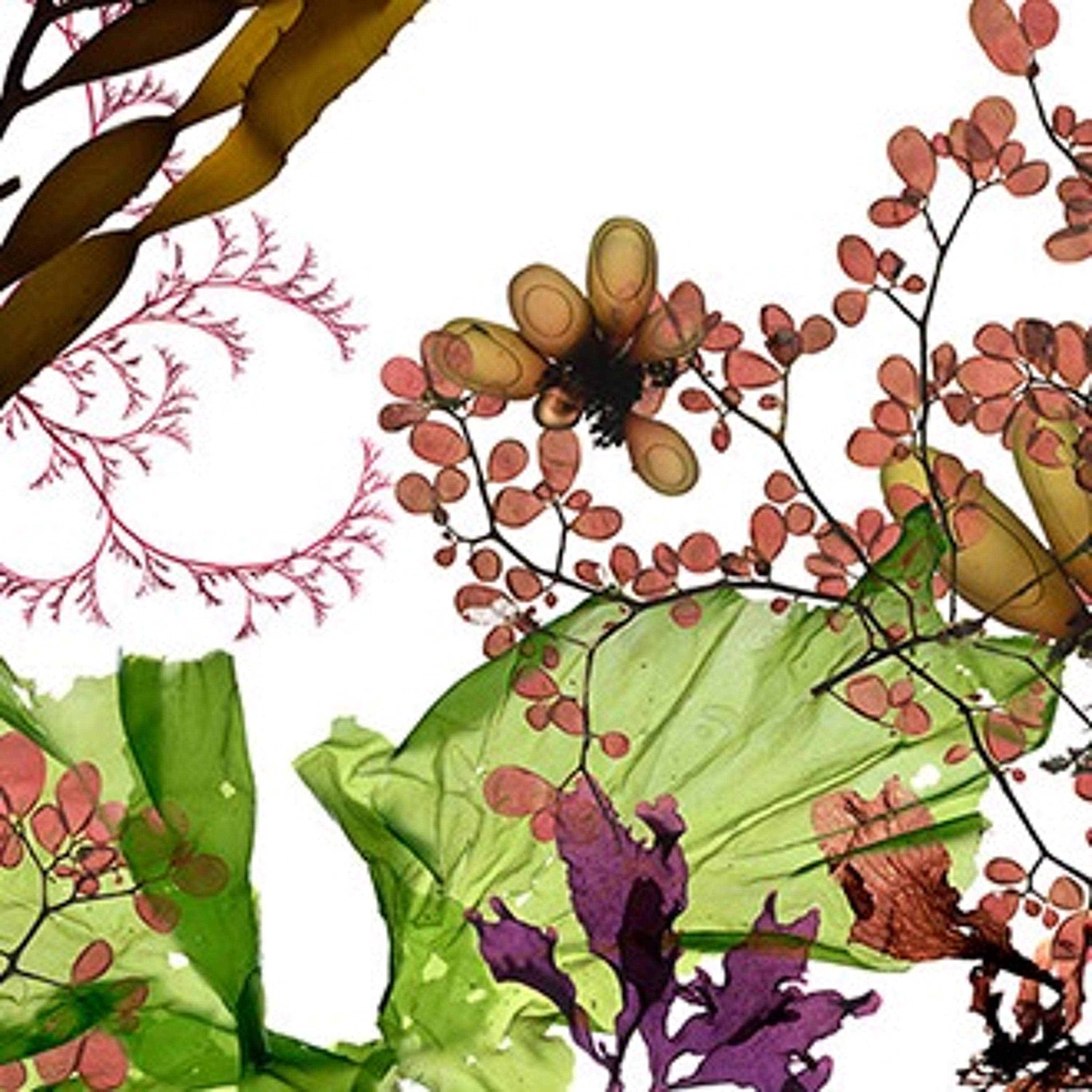 Exploring Nature, Culture and Inner Life