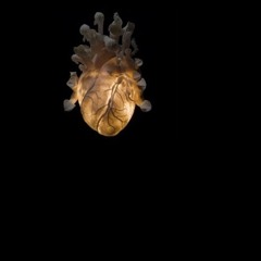 Бхагват-Гита