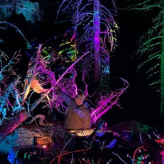 ROAD TO WAKAAN ( LIVE: AUG 2025)