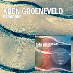 Koen Groeneveld - Paradoks