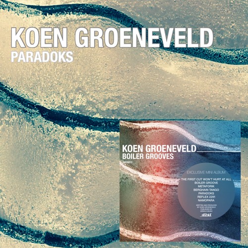 Koen Groeneveld - Paradoks