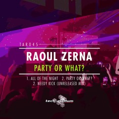 Raoul Zerna - Needy Kick (Unreleased Mix)